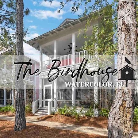 The Birdhouse In Luxury Watercolor Brand New 6 Seat Golf Cart Villa Santa Rosa Beach Eksteriør bilde