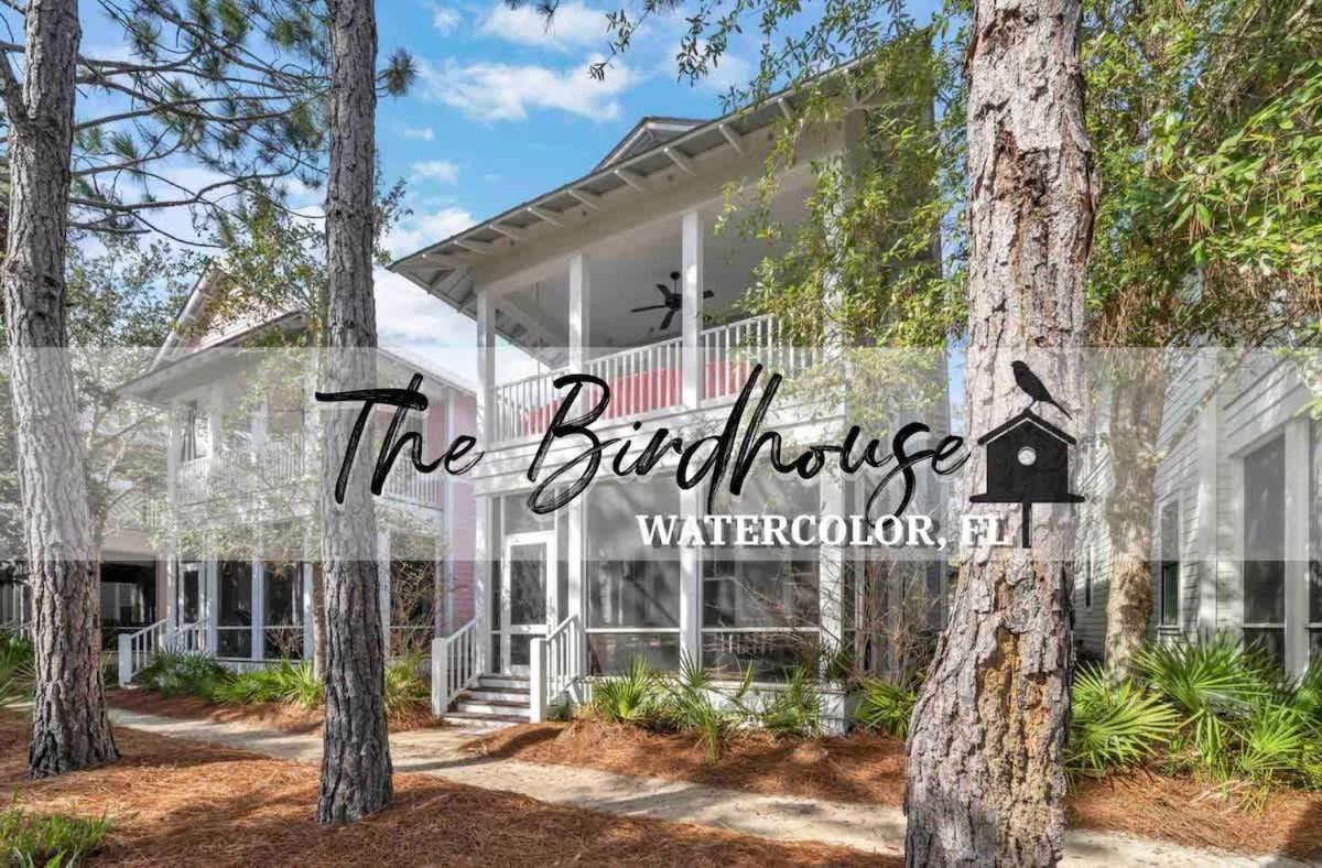 The Birdhouse In Luxury Watercolor Brand New 6 Seat Golf Cart Villa Santa Rosa Beach Eksteriør bilde